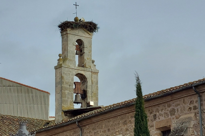La cigüeña posada en su nido sobre la espadaña del monasterio de Santa Clara de Burgos el lunes 8 de enero