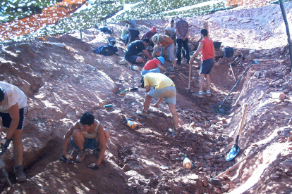 En el yacimiento de Demandasaurus se trabajó sobre una superficie de 200 metros cuadrados.