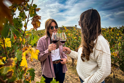 La Ruta del Vino Ribera recibe cada año más de 281.000 visitas