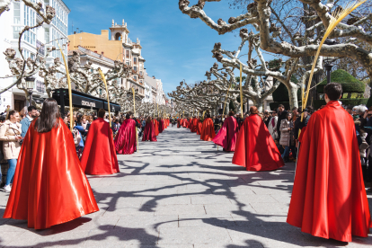 Un momento de la emocionante procesión del Domingo de Ramos en la capital burgalesa, en el que los niños son los protagonistas.