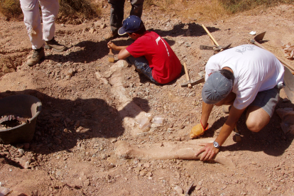 Trabajos de excavación de los restos de iguanodontio que se trata de identificar en este nuevo estudio.