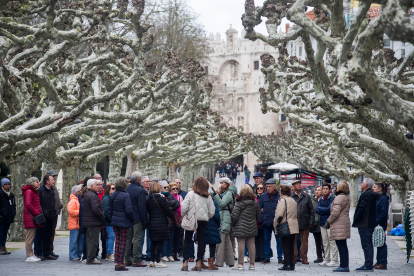 Un grupo de turistas escucha al guía que les explica la historia del Paseo del Espolón.
