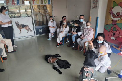 Primera sesión de terapia asistida con perros en el Servicio de Pediatría del HUBU.