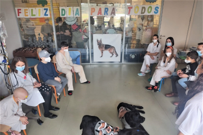 El Servicio de Pediatría del HUBU ha incorporado un proyecto pionero con perros para niños ingresados en la 4ª planta.