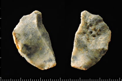 Marcas de corte antrópicas paralelas en huesos encontrados en Pirro Nord.