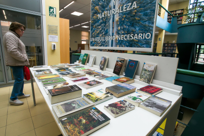 La biblioteca Gonzalo de Berceo, en el barrio de Gamonal, es la que acumula más visitas y préstamos de la red de las municipales de Burgos.