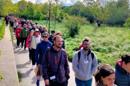 Los participantes de la Marcha Solidaria de Prosame por el paseo de la Quinta.