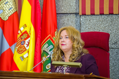 Un momento del Pleno ordinario del mes de mayo del Ayuntamiento de Burgos.