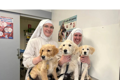 Sor Sión y otra hermana de Belorado junto a varios cachorros en una clínica veterinaria.