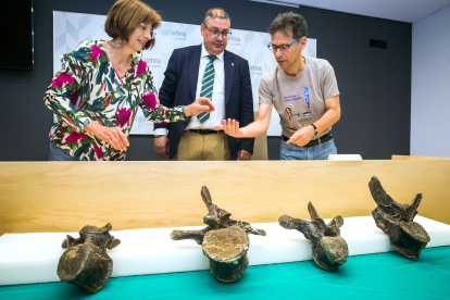 Ada Marcos, alcaldesa de Salas, Germán Martínez, director gerente de Fundación Caja Viva Caja Rural, y Fidel Torcida, director de las excavaciones de dinosaurios de la comarca de Salas de los Infantes presentan algunas de las vértebras.