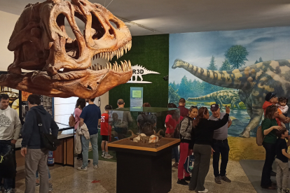 Visitantes en uno de los espacios del Museo de Dinosaurios de Salas de los Infantes.
