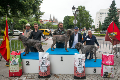 Monográfica 2024 del Club Español de Amigos del Perro Perdiguero de Burgos.