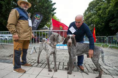 Monográfica 2024 del Club Español de Amigos del Perro Perdiguero de Burgos.