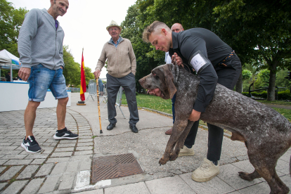 Monográfica 2024 del Club Español de Amigos del Perro Perdiguero de Burgos.