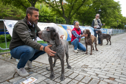 Monográfica 2024 del Club Español de Amigos del Perro Perdiguero de Burgos.