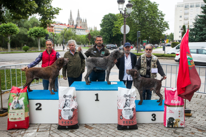 Monográfica 2024 del Club Español de Amigos del Perro Perdiguero de Burgos.