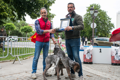 Monográfica 2024 del Club Español de Amigos del Perro Perdiguero de Burgos.