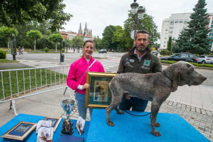 Monográfica 2024 del Club Español de Amigos del Perro Perdiguero de Burgos.