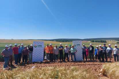Campos de ensayo de UPA en Castrillo de Solarana.
