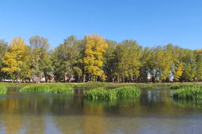 Parque de Fuentes Blancas.