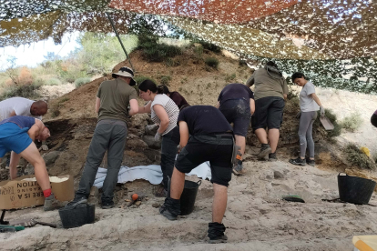 El grupo de investigadores en los trabajos de excavación de la campaña en Hortezuelos.