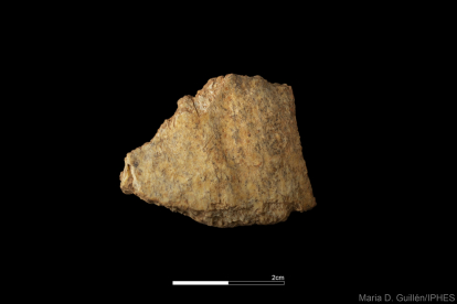 8. Fragmento de cráneo de neandertal. Cueva Fantasma (sierra de Atapuerca).