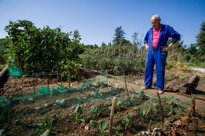 Es tiempo de cosecha.