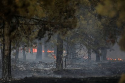 Medios aéreos y terrestres intervienen en el incendio.