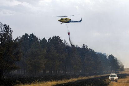 Medios aéreos y terrestres intervienen en el incendio.