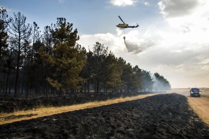 Medios aéreos y terrestres intervienen en el incendio.