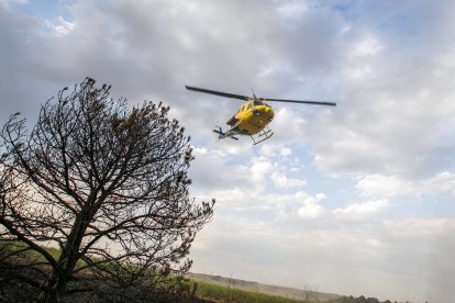 Medios aéreos y terrestres intervienen en el incendio.