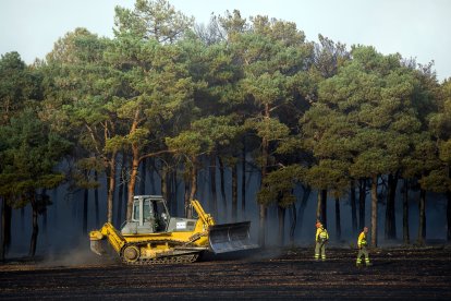 Medios aéreos y terrestres intervienen en el incendio.