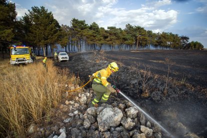 Medios aéreos y terrestres intervienen en el incendio.