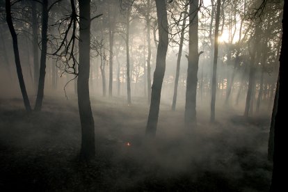 Medios aéreos y terrestres intervienen en el incendio.