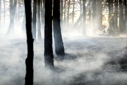 Medios aéreos y terrestres intervienen en el incendio.