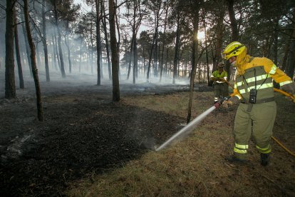 Medios aéreos y terrestres intervienen en el incendio.