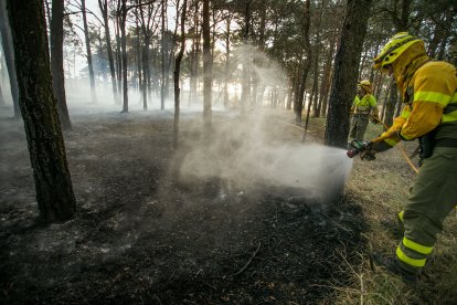 Medios aéreos y terrestres intervienen en el incendio.