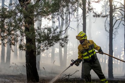 Medios aéreos y terrestres intervienen en el incendio.