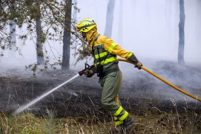 Medios aéreos y terrestres intervienen en el incendio.