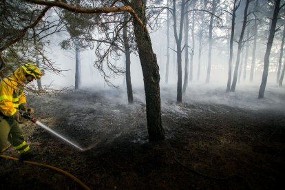 Medios aéreos y terrestres intervienen en el incendio.