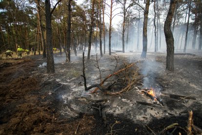 Medios aéreos y terrestres intervienen en el incendio.