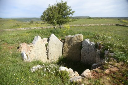 Dolmen de Sedano o de las Arnillas.