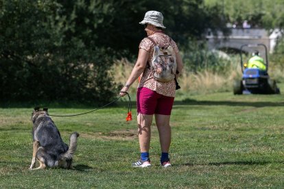 Una mujer y su mascota pasean por las riberas del río Arlanzón, en la capital burgalesa.