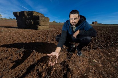 Juan Antonio Arlanzón tiene 200 hectáreas en el norte de Burgos