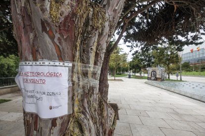 La borrasca 'Kirk' causa estragos en Burgos.