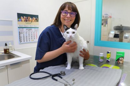 El cannabis como medicina para paliar enfermedades crónicas, en la imagen la veterinaria Marian Belloso de la clínica Argos atiende a un gato, y a su lado   productos elaborados con cannabis mediciinal