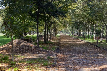 Los nuevos caminos para transitar por el parque de El Parral han comenzado a trazarse por parte de la empresa adjudicataria de las obras.