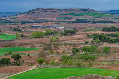 Vista de La Cuesta Manvirgo y de Roa desde el Balcón del la Ribera