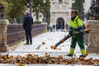Una mujer en el dispositivo de mantenimiento de parques y jardines.