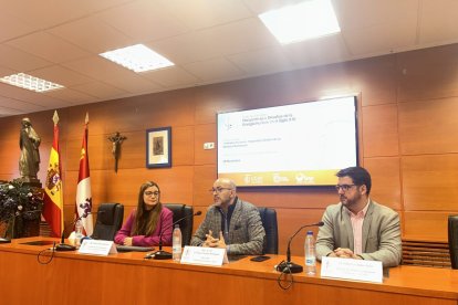 Perspectivas y Desafíos de la Energía Nuclear en el Siglo XXI: Ingeniería, Energía y Aplicaciones Médicas.
